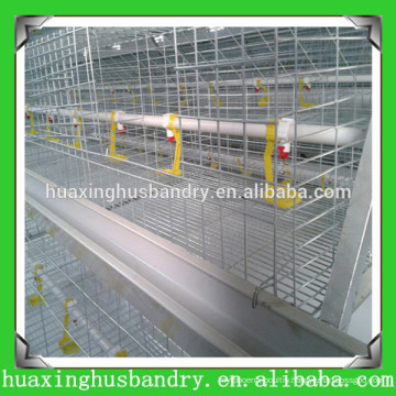 Excellent quality day old broiler chicks for sale for chicken house